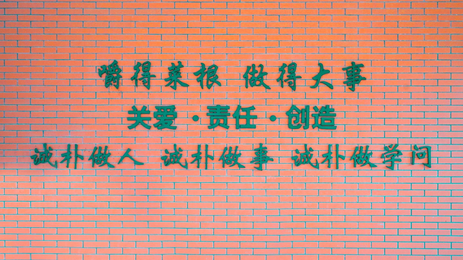 1649837145969758.jpg